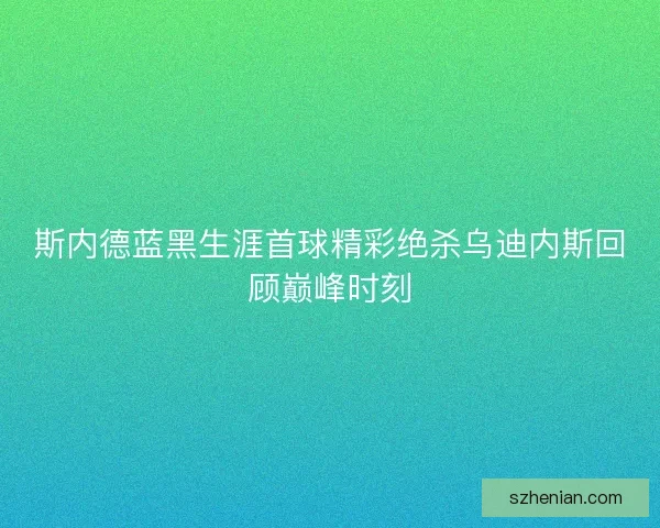 斯内德蓝黑生涯首球精彩绝杀乌迪内斯回顾巅峰时刻 斯内德蓝黑生涯首球精彩绝杀乌迪内斯回顾巅峰时刻