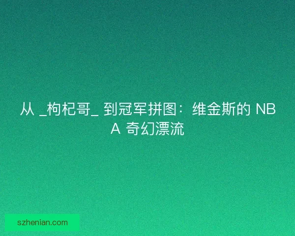 从 _枸杞哥_ 到冠军拼图：维金斯的 NBA 奇幻漂流