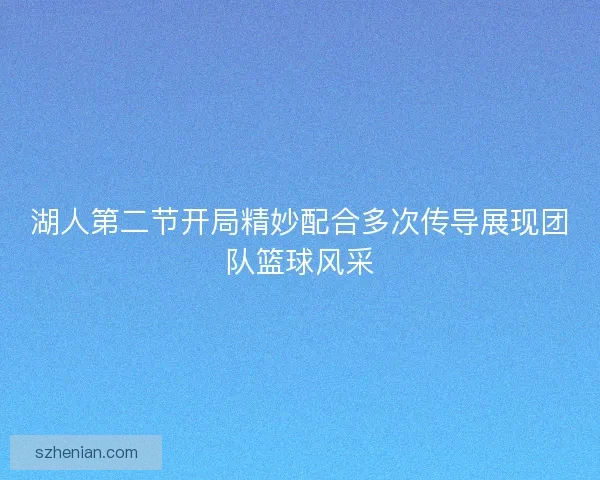 湖人第二节开局精妙配合多次传导展现团队篮球风采