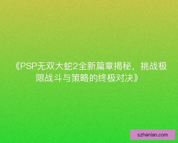 《PSP无双大蛇2全新篇章揭秘，挑战极限战斗与策略的终极对决》